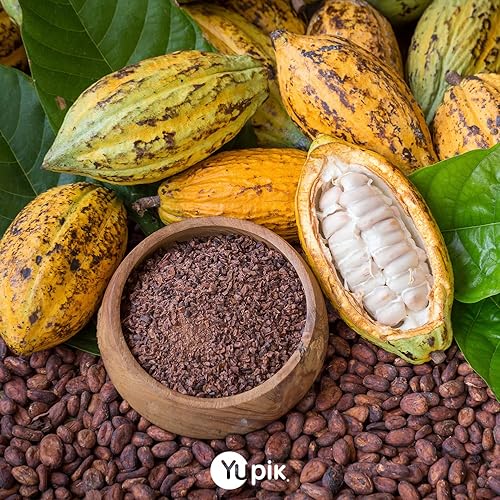 Miniatura 2 de Yupik Polvo, cacao alcalinizado, 2.2 lb
