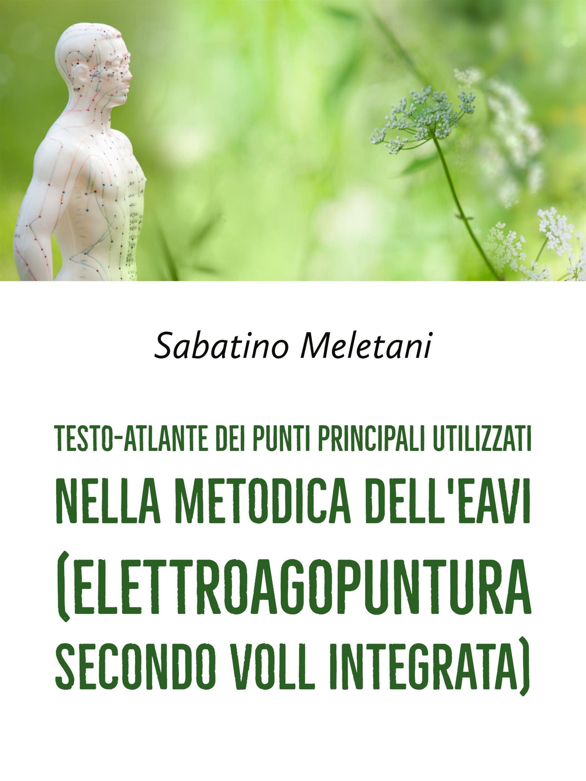 Testo-Atlante dei punti principali utilizzati nella metodica dell'EAVI (Elettroagopuntura secondo Voll Integrata)