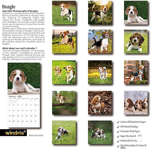 Miniatura 2 de Calendario de pared 2026, calendario 2026, noviembre de 2025 a diciembre de 2026, calendario de pared Beagles, 12 x 24 pulgadas abierto, página