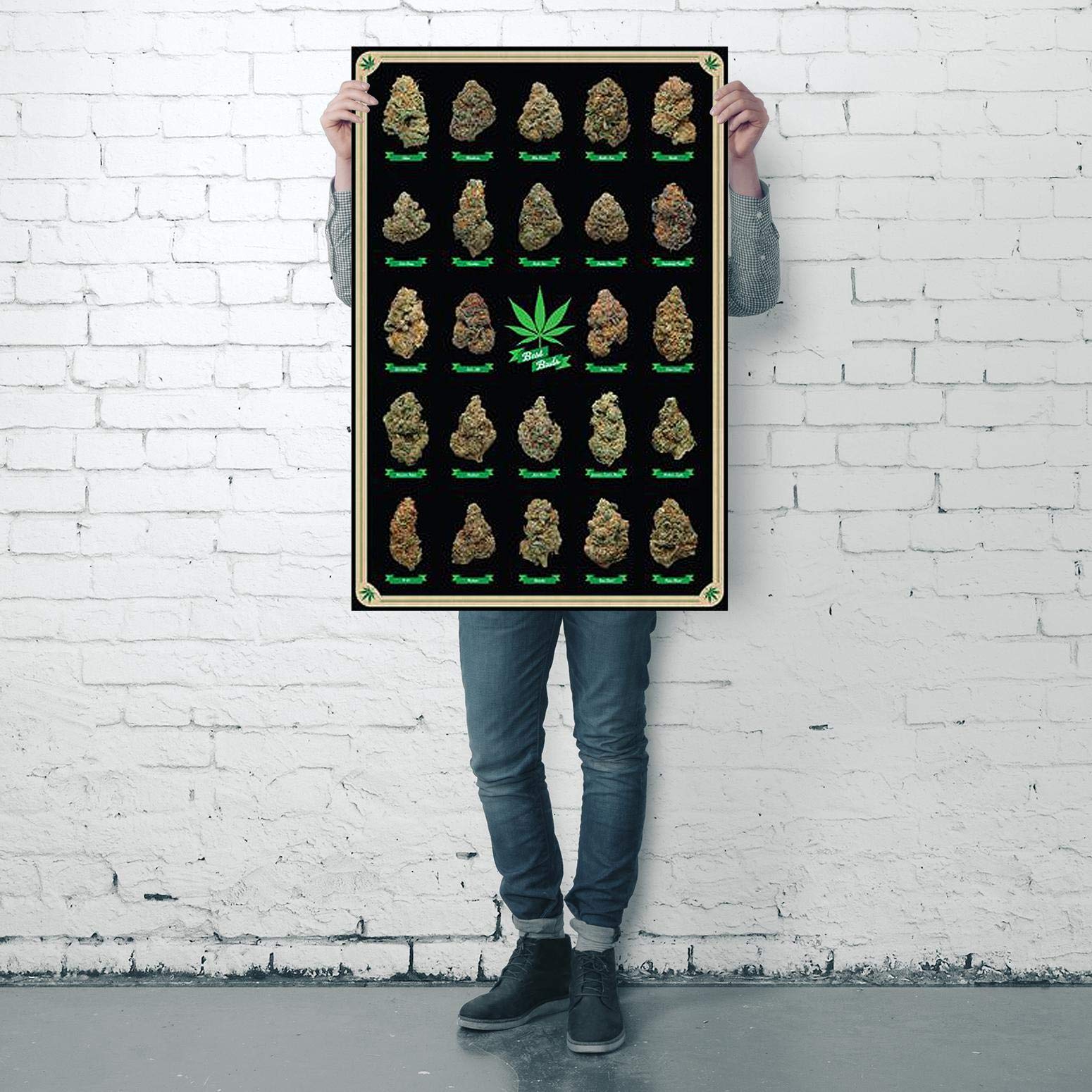 Amazon.co.jp: Cannabis Poster Best Buds Marijuana strains (61cm x