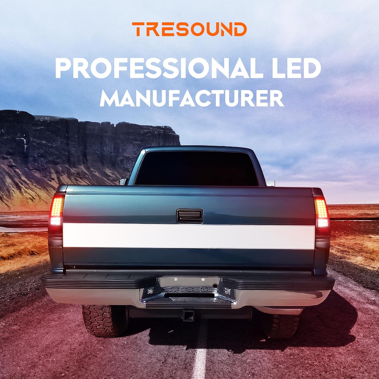 Tresound LED Tail Lights for Dodge Ram 1500 1994-2001, Dodge Ram 2500 3500 1994-2002, Rear Taillights Assembly