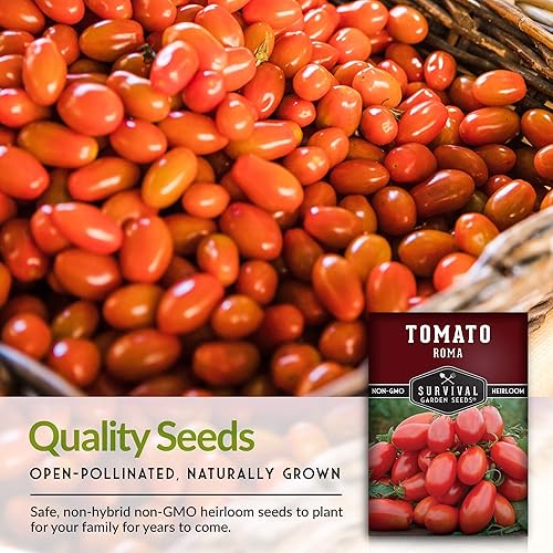 Miniatura 7 de Survival Garden Seeds - Semilla de tomate Roma para plantar - 2 paquetes con instrucciones para plantar y cultivar tomates romaníes italianos en tu