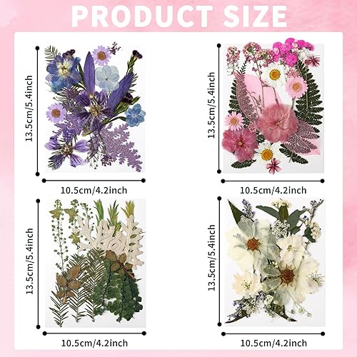 Vista 68 de Augshy 141 flores secas prensadas para resina, flores secas naturales reales prensadas para manualidades, moldes de resina, álbumes de recortes, 5