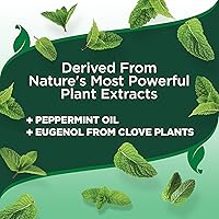 Vista 5 de Vet’s Best Indoor Flea and Tick Spray – Dog Flea and Tick Treatment for Home, Plant-Based Formula with Natural Oils, Kills Fleas, Eggs & Ticks on
