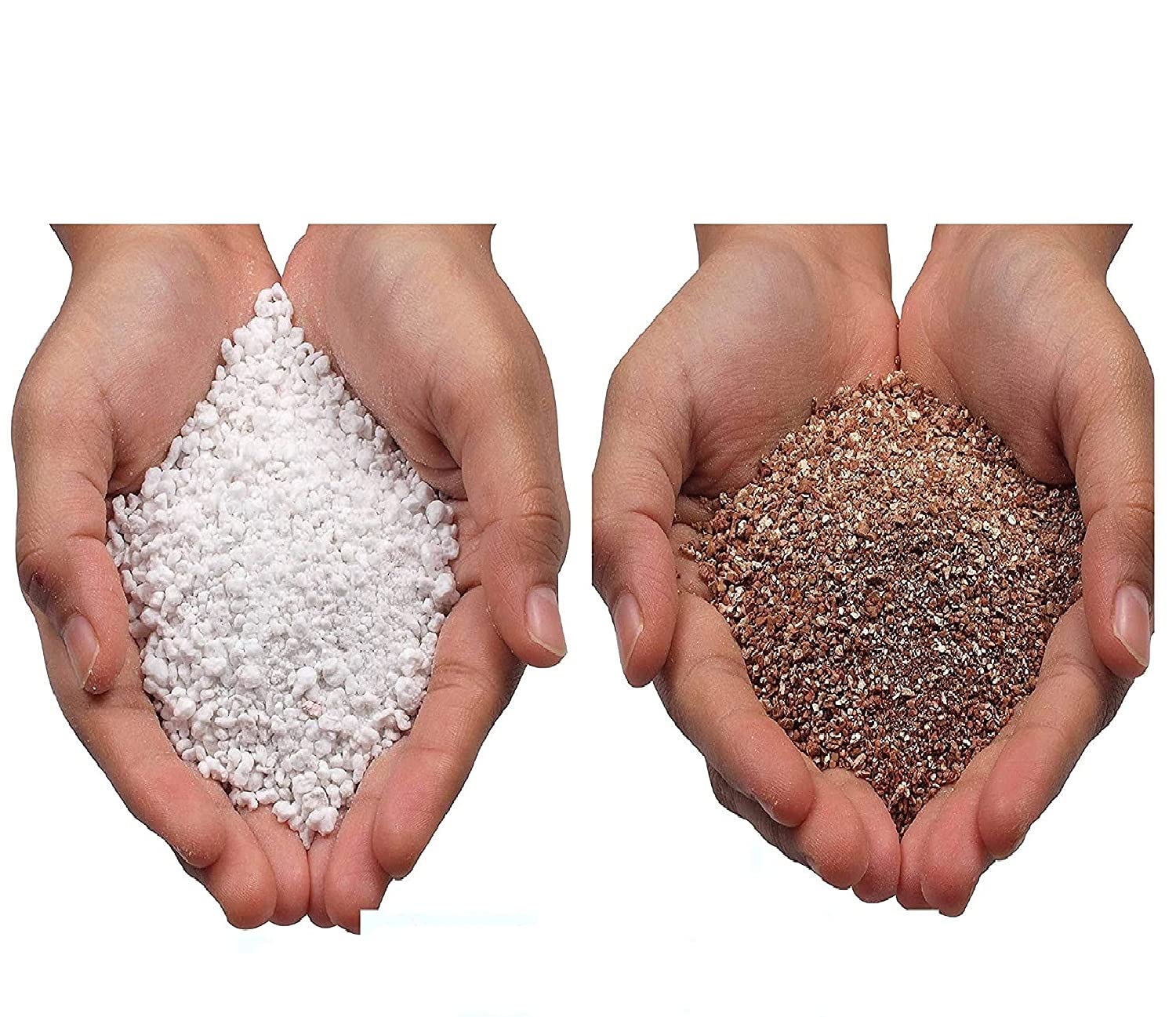 See full amazon price history chart for SAPRETAILER Perlite 1Kg Vermiculite 1Kg for Plants and Terrace and Kitchen Gardening SAPRETAILER Perlite 1Kg Vermiculite 1Kg for Plants and Terrace and Kitchen Gardening (B07VS97MXH) Amazon Price History, Amazon Price Tracker