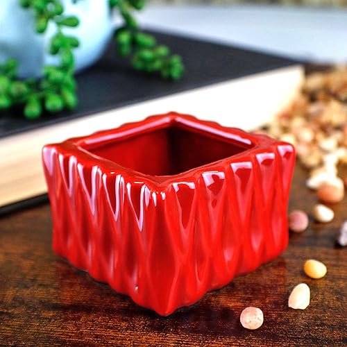 Miniatura 5 de Juego de 3 arreglos de bambú de la suerte viva con 2 tallos en macetas cuadradas rojas de cerámica, juego de tres plantas de bambú de la suerte de 6