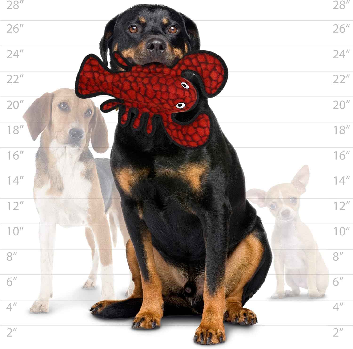 TUFFY - World's Tuffest Soft Dog Toy - Ocean Larry Lobster -Squeakers - Multiple Layers. Made Durable, Strong & Tough. Interactive Play (Tug, Toss & Fetch). Machine Washable & Floats.