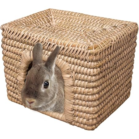Amazon ミニアニマン 手編みクラフトハウス スクエア ミニアニマン 飼育ケージ内装 通販