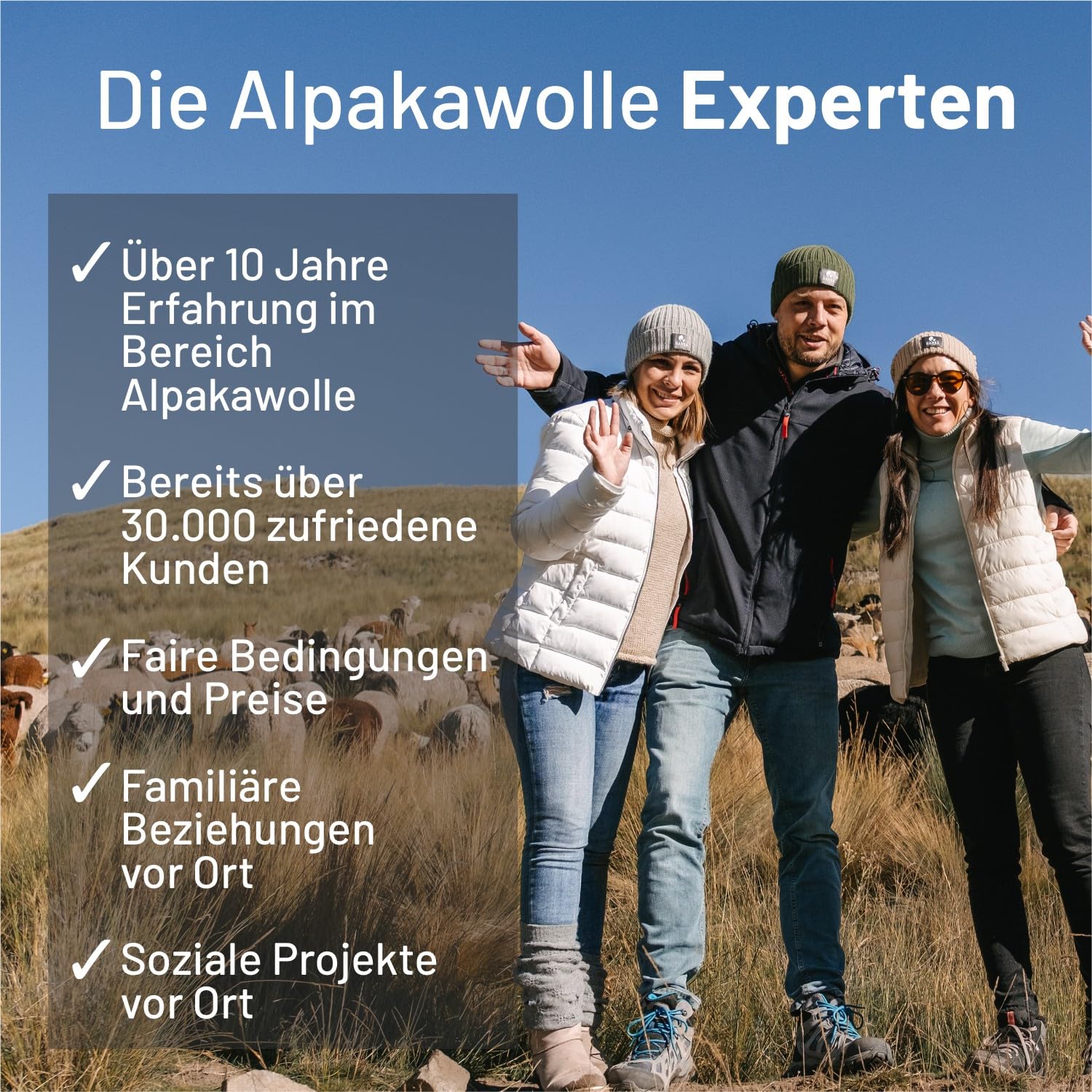 Miękka damska i męska czapka z alpaki ze 100% wełny alpaki w 8 kolorach - wysokiej jakości zimowa czapka dzianinowa/czapka wełniana Beanie firmy HansaFarm, Braun - NFA06, jeden rozmiar