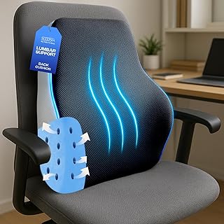 Sleepsia Back Support for Office Chair 1 Year Warranty Lumbar Support for Office Chair, Car Seat Back Support, Memory Foam Pillow (Gel Ventilated, Black/Grey)