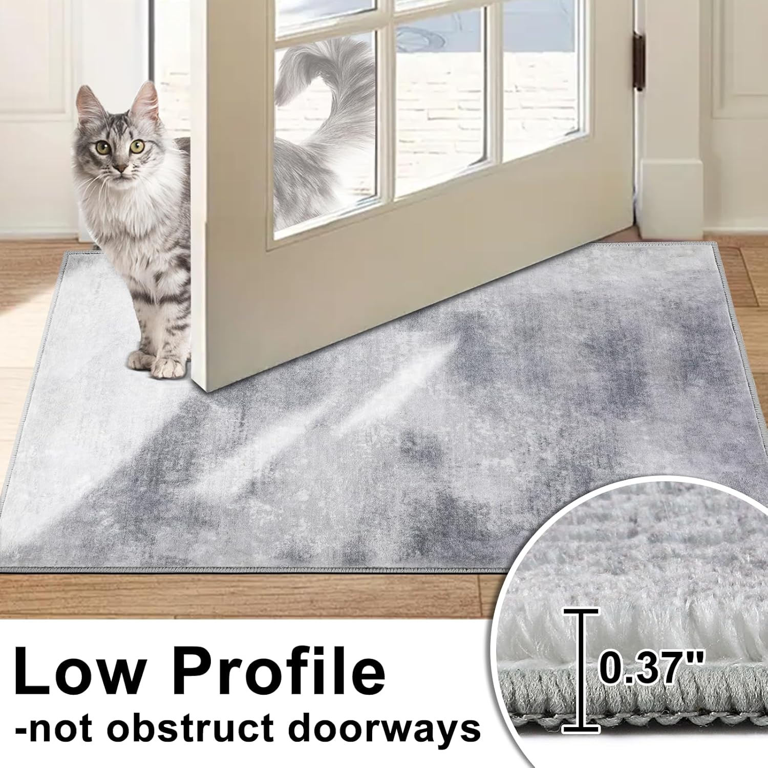 Door Mat, Front Indoor Doormat 32"x48" Non Slip Entryway Rug Indoor, Washable Small Rug for Entrance Bedroom Kitchen Bathroom Laundry Low Profile Throw Rug(2.6x4 Feet)