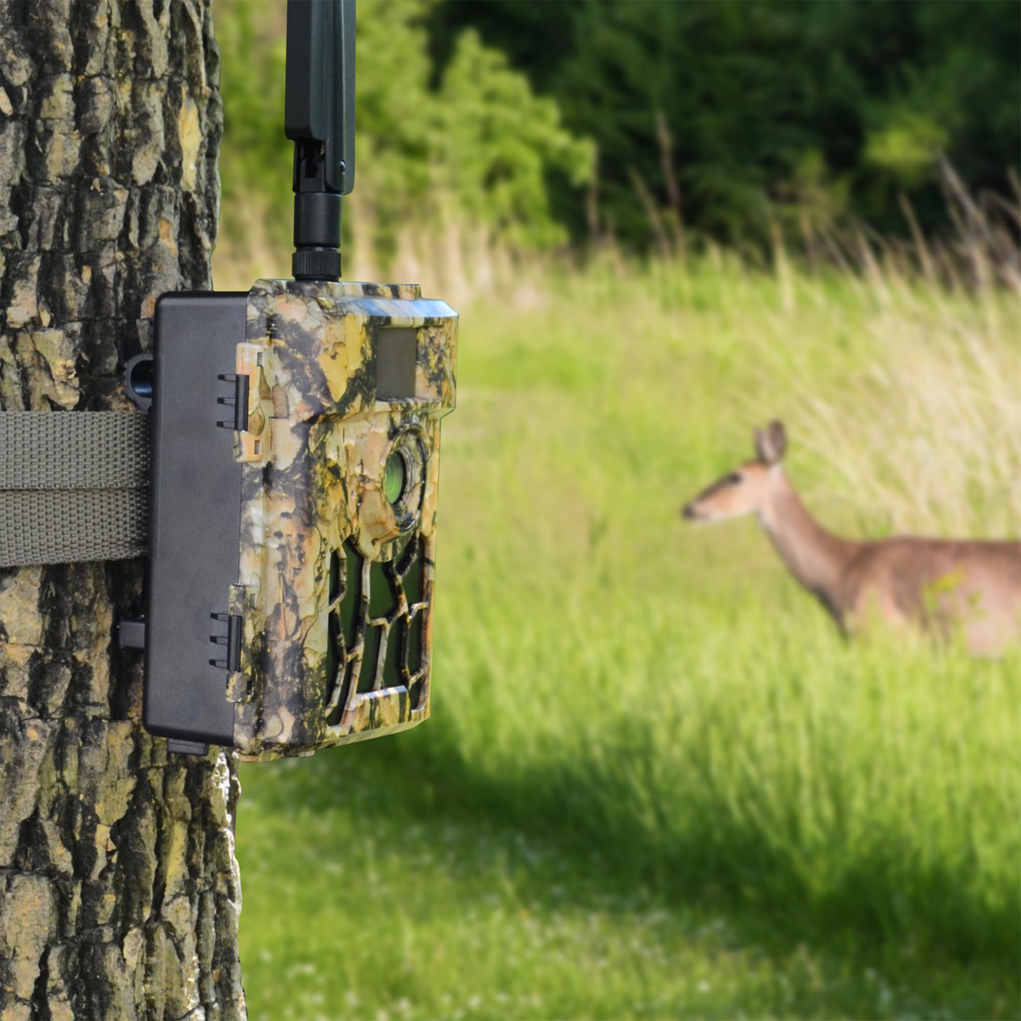 PNI Hunting 480C Pro Wildkamera – 24 MP Full HD mit 4G-Konnektivität, GPS, Infrarot-Nachtsicht, IP66 wasserdicht, schnelle Auslösegeschwindigkeit für Wildtierüberwachung und Sicherheit