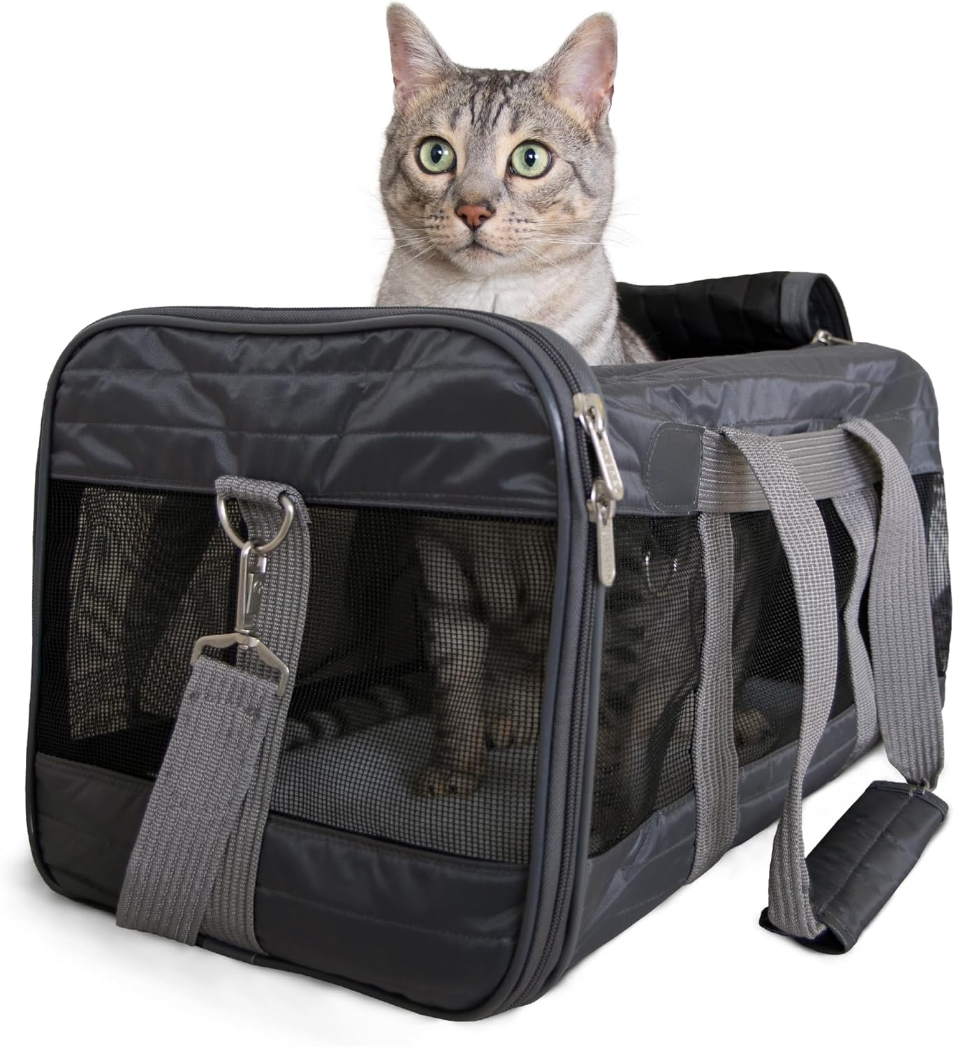 Airline-Approved Sherpa Pet Carrier with Wire Frame & Ventilation