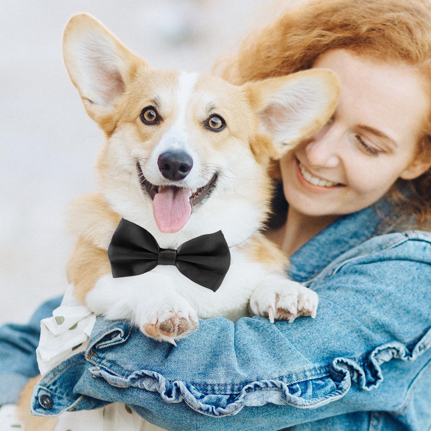 Schwarze Fliege für Hunde, Koolmox verstellbare Fliege, Hundehalsband für mittelgroße und große Hunde, Katzen, Haustiere, Hochzeit, Geburtstag, Abschlussfeier, Urlaub, Fellpflege, Cosutmes