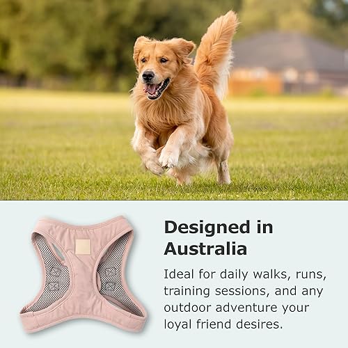 Miniatura 3 de FuzzYard Life Step in - Arnés para perro  Talla L  Elegante diseño de algodón de primera calidad en rubor suave perfecto para paseos diarios