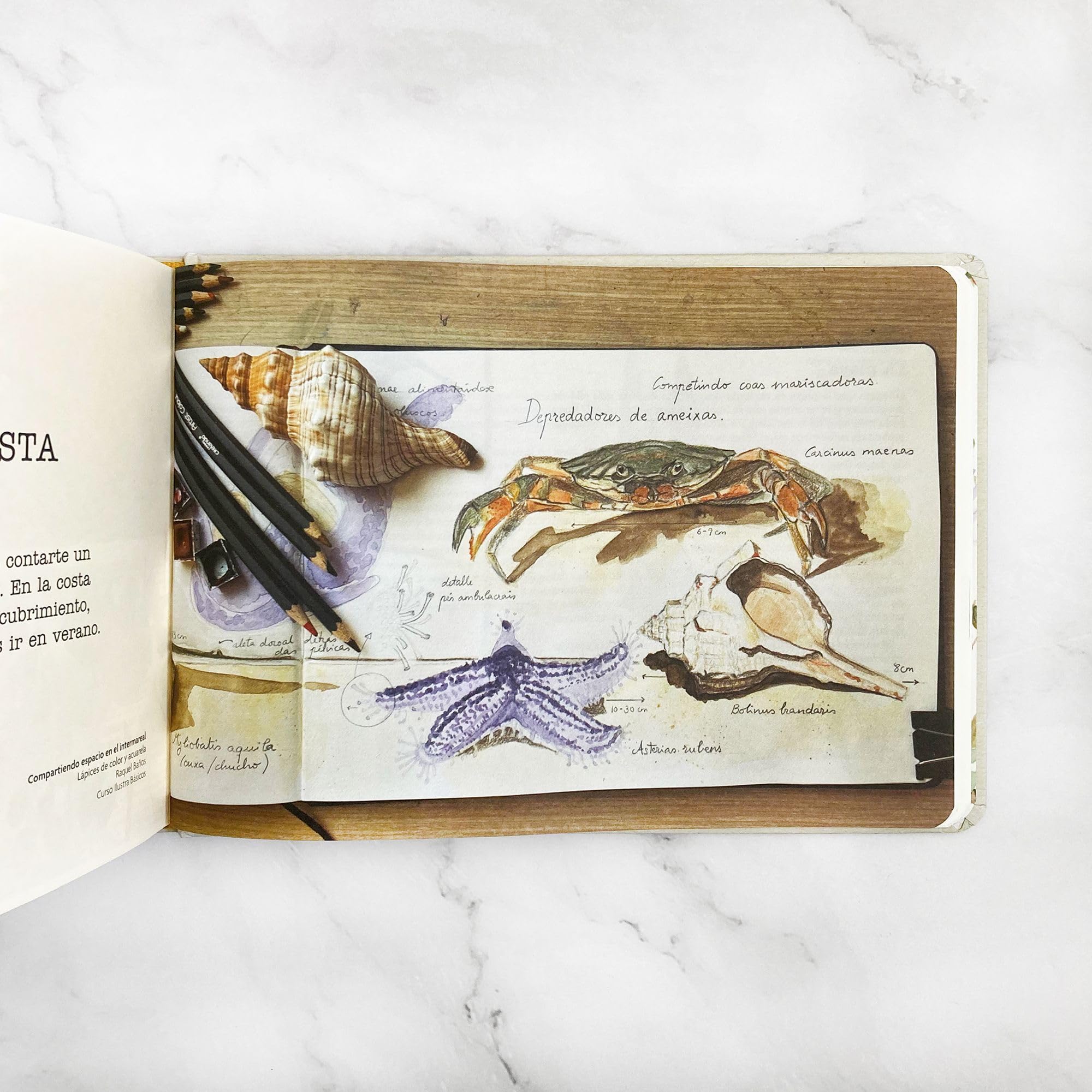 Cuaderno de campo: Aprende dibujando (Ilustrados)