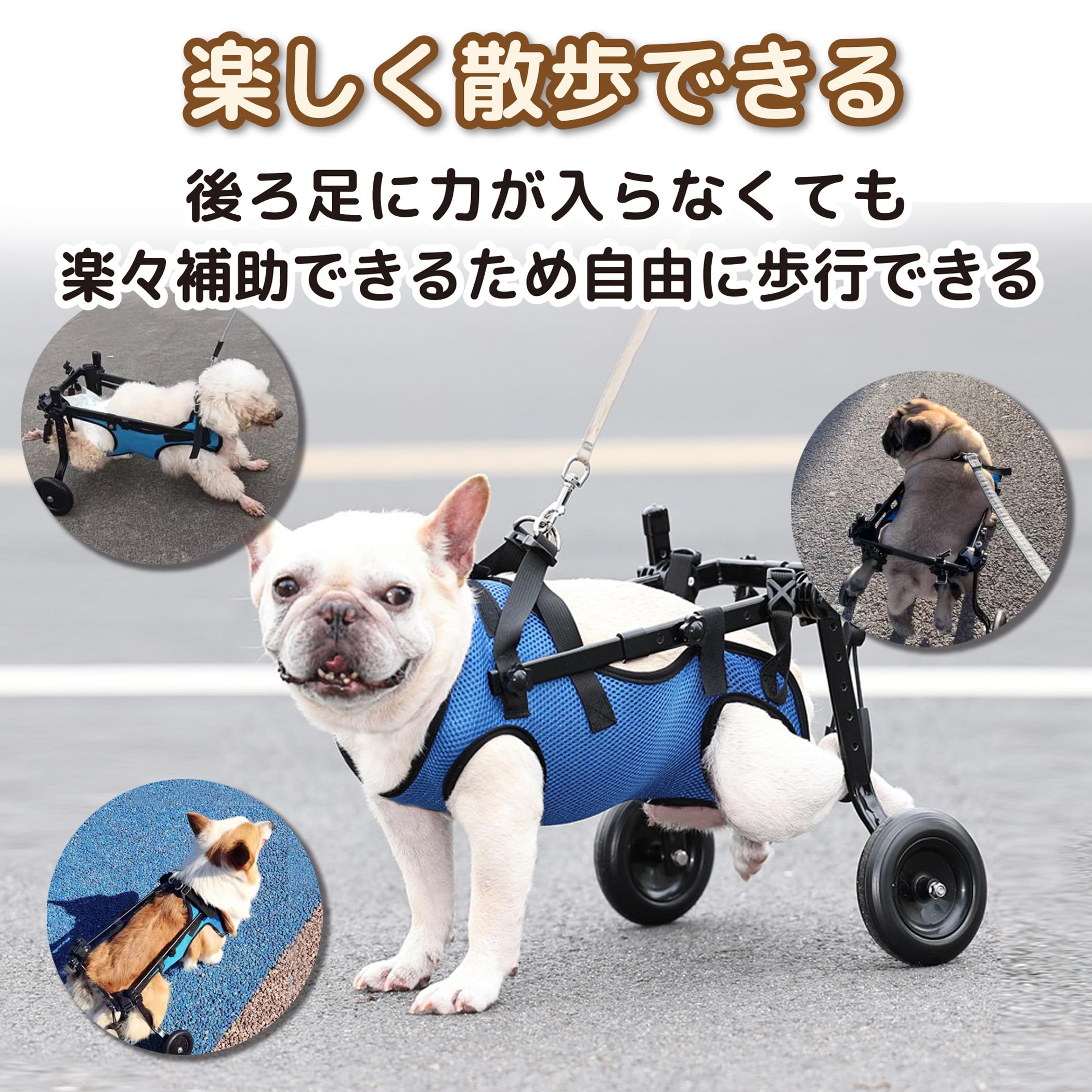 Amazon | EdisonBrain 犬の歩行器 犬用車椅子 ペット 散歩