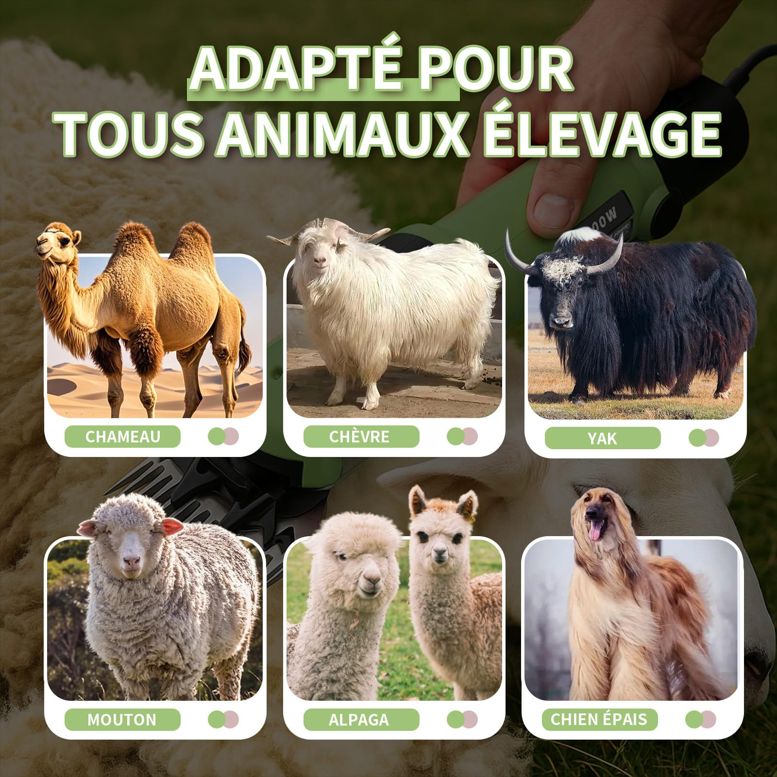 1200W Tondeuse a Mouton Professionnelle, 6 Vitesses Réglables 3200 tr/min, Lame 13 Dents pour Moutons Chèvres Alpagas, avec Manuel Français et Vidéo (Vert)