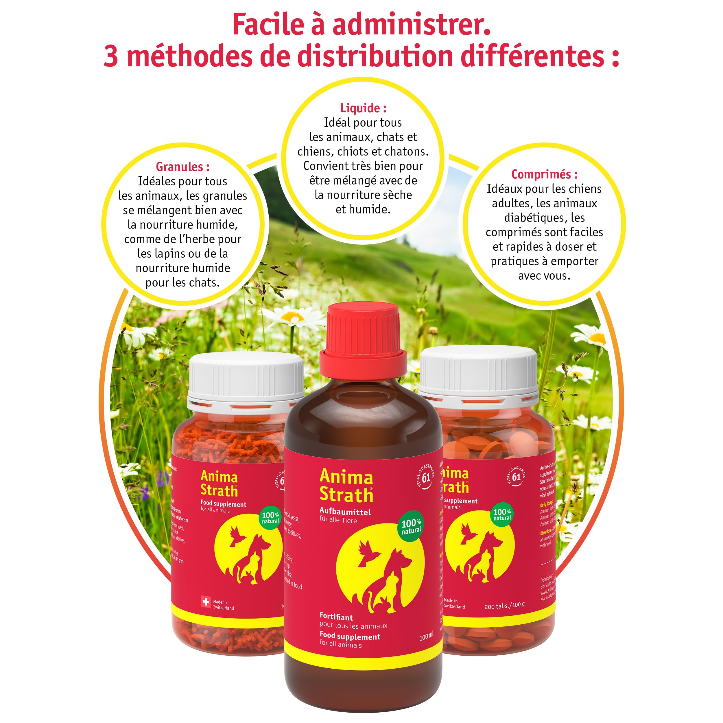 Anima-Strath Fortifiant et Complément Alimentaire Naturel Liquide pour Chiens et Chats - Soutien de l'immunité et de la Digestion avec 61 Micronutriments, Vitamines, Minéraux, Acides Aminés