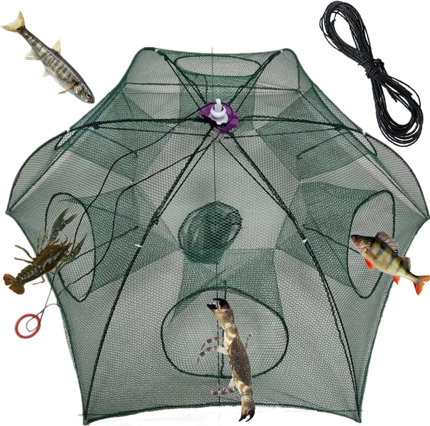 ProFishing Umbrella Fishing Trap Net – Multi Holes for catching Fish, Shrimp, Crabs and Lobsters. (6 Hole) (B0DGDB3GKV) Amazon Price History, Amazon Price Tracker