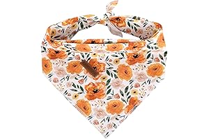 Elegant Little Tail Orange Bandana for Dogs