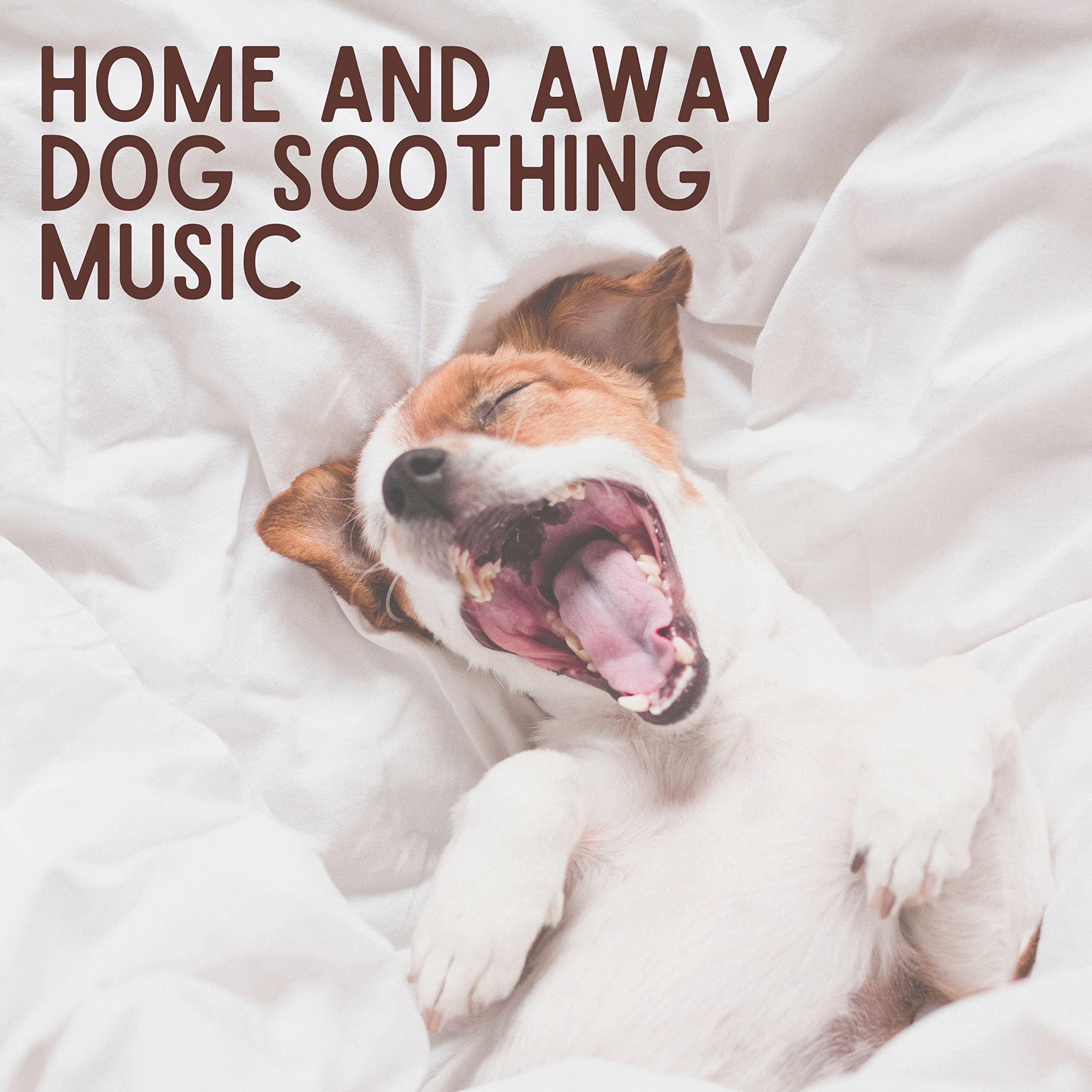 Music For Dogs