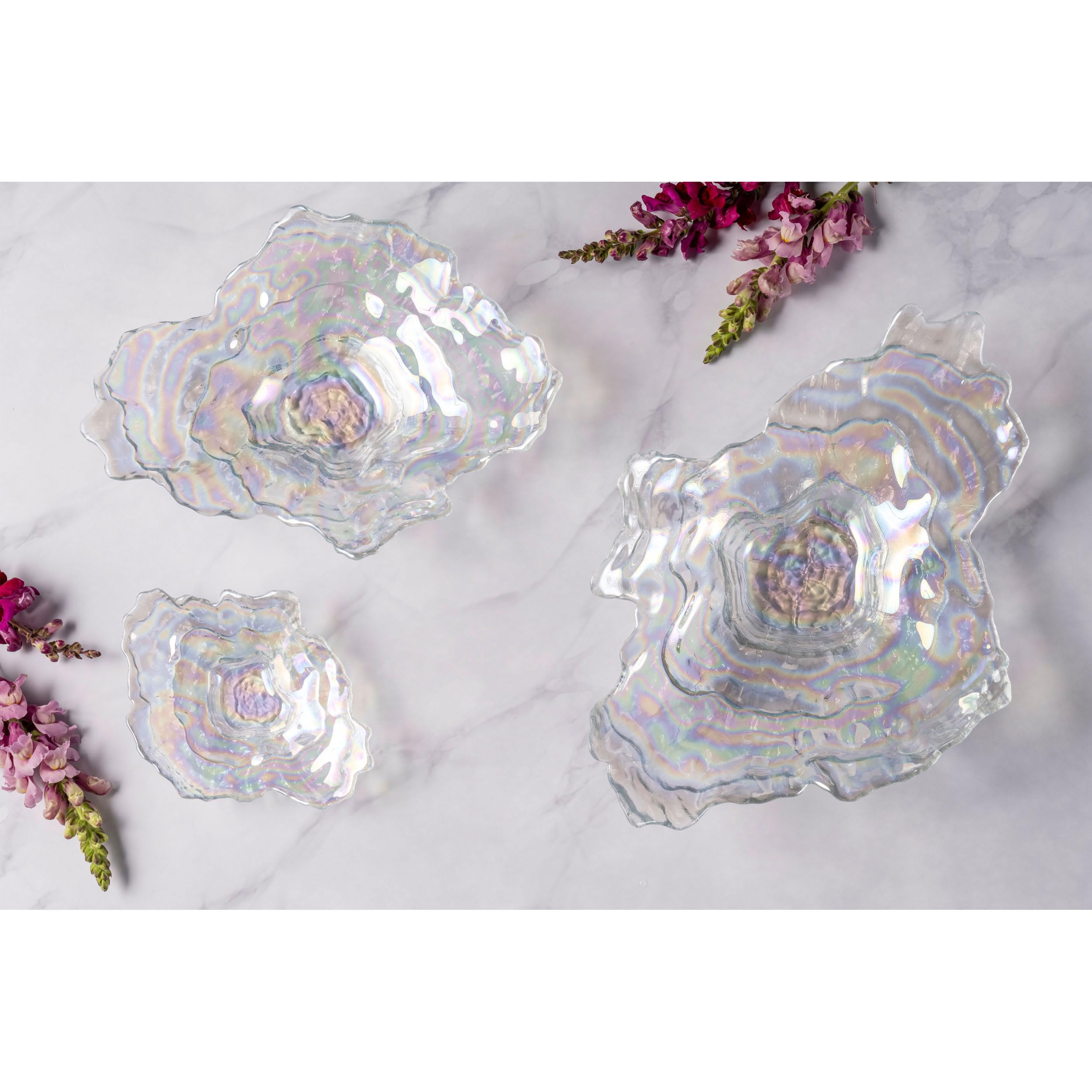 LEONARDO HOME Poesia 038929 - Cuenco para conchas (cristal, 23 x 17, 4,5 cm), transparente