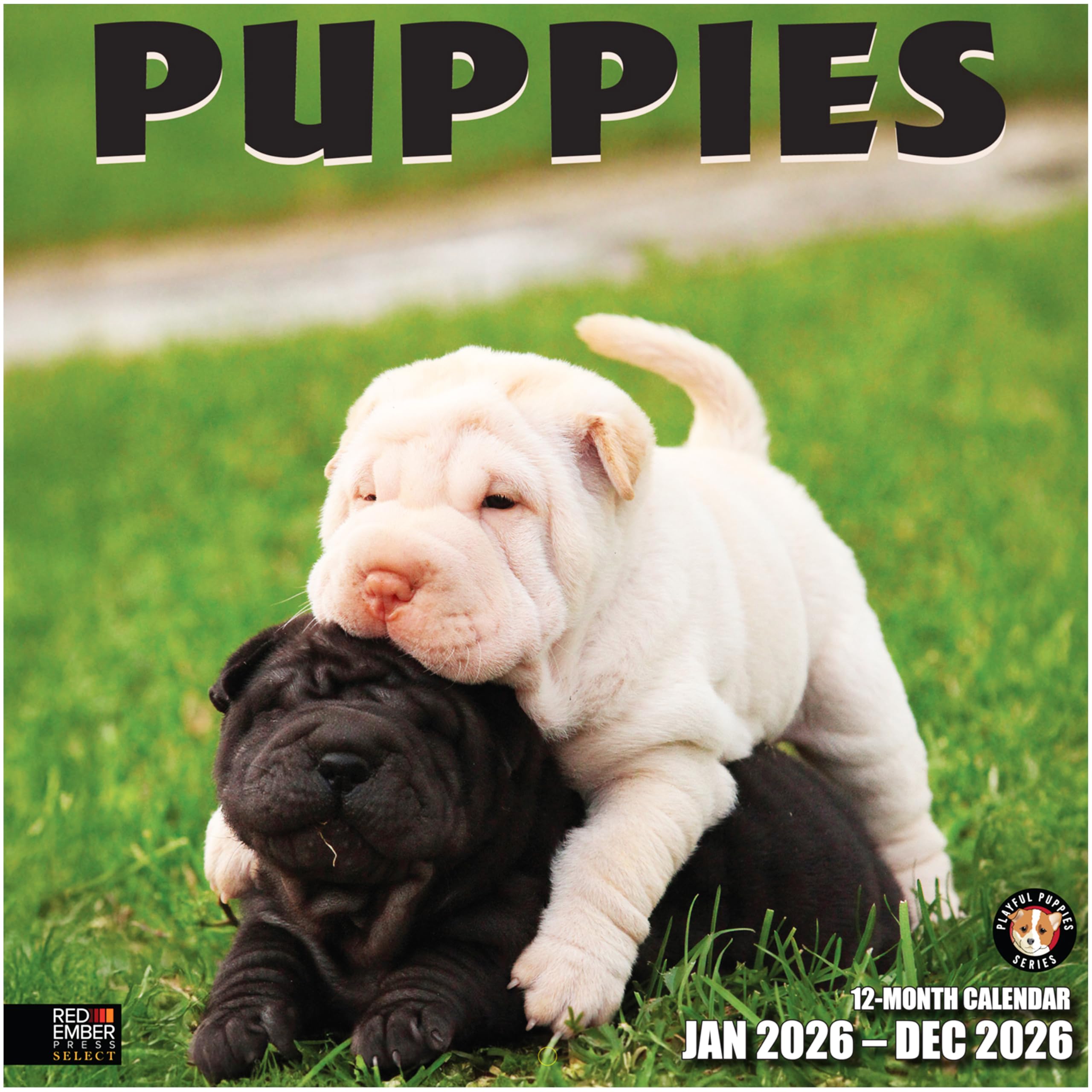 RED EMBER Select - Puppies 2026 Wall Calendar 12 Month | 12" x 24" Open | Thick &amp; Sturdy Paper | Giftable | Cute Puppy Dog Calendar 2026