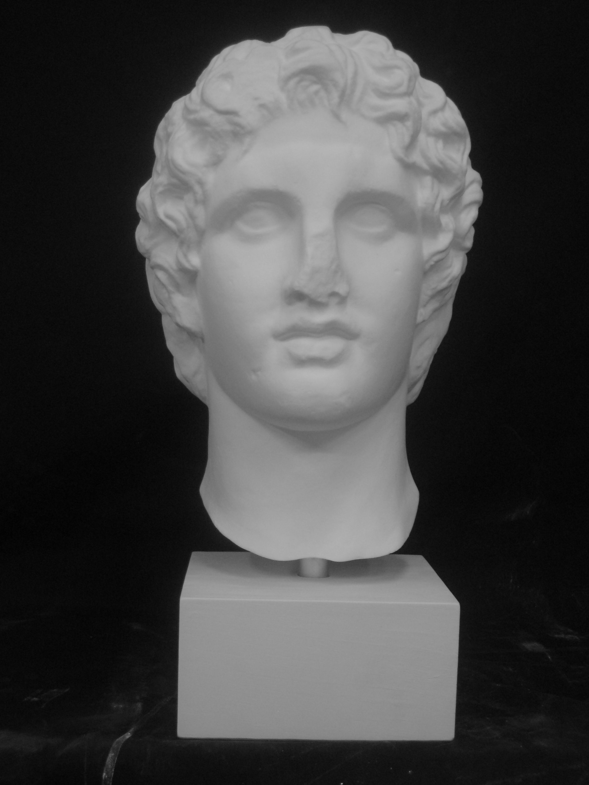 ジョルジョ首像 Amazon.co.jp: 石膏像 S－211 聖ジョルジョ首像 H．56cm