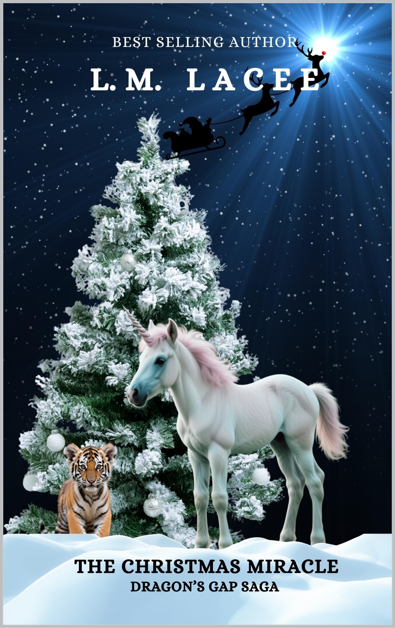 The Christmas Miracle (DRAGON'S GAP SERIES)