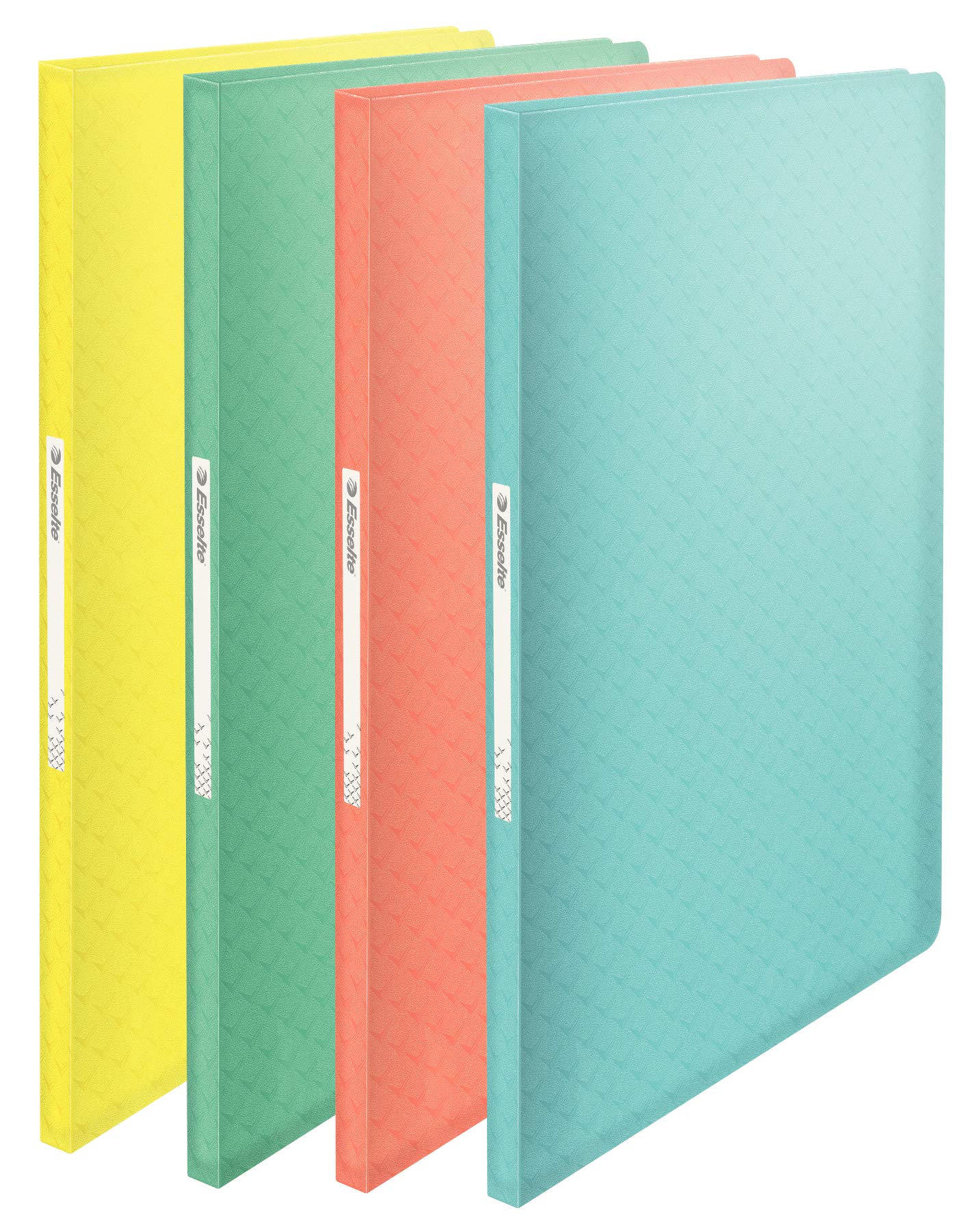 Esselte 626229 colour' Ice 20 Pz Rilegatura protège-documents PP 40 buste colori assortiti