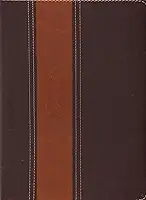 BIBLIA AEC DE ESTUDO THOMPSON MARRON ESCURO CLARO
