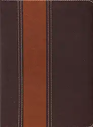 BIBLIA AEC DE ESTUDO THOMPSON MARRON ESCURO CLARO