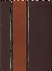 BIBLIA AEC DE ESTUDO THOMPSON MARRON ESCURO CLARO