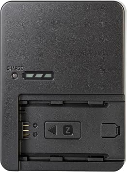 BC-QZ1 Battery Charger for NP-FZ100 Battery Compatible with Sony