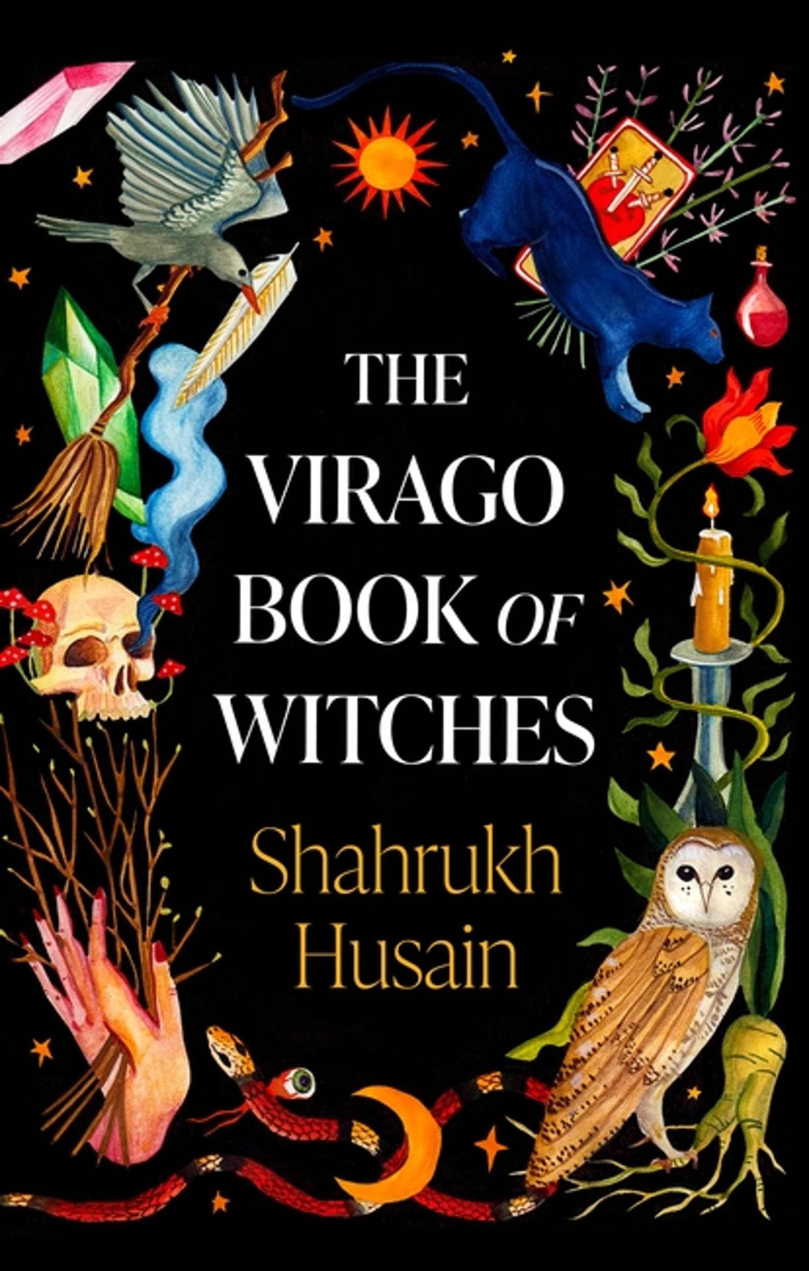 Shahrukh Husain The Virago Book Of Witches Paperback
