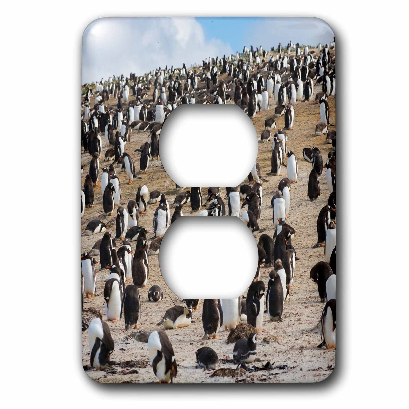 Gentoo Pingouin Saunders Island plaque murale décorative pour prise électrique simple 3dRose
