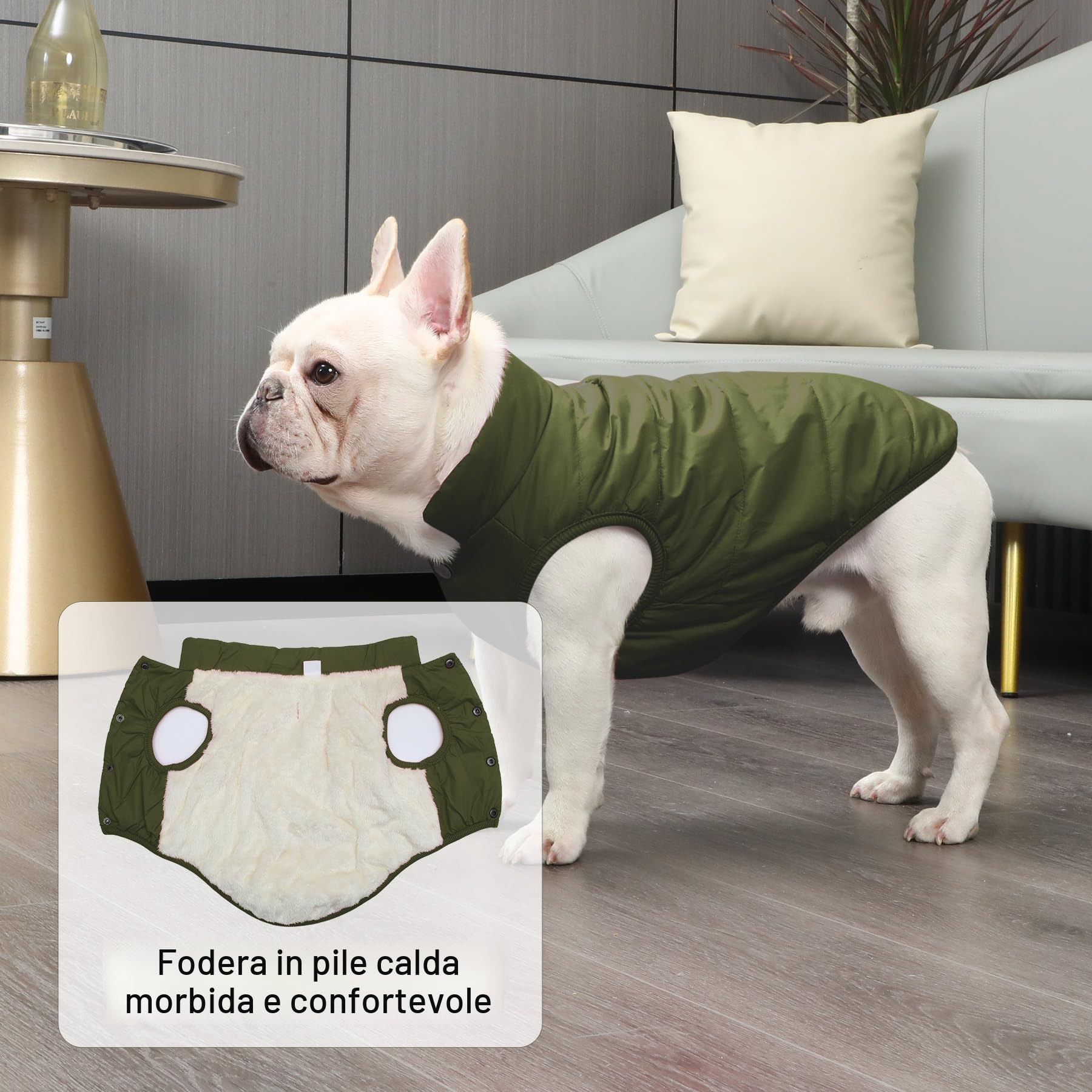 JoyDaog, Cappottino per cani foderato con 2 strati di pile, antivento, molto caldo e morbido, perfetto per il freddo invernale, ideale per cuccioli, verde, M