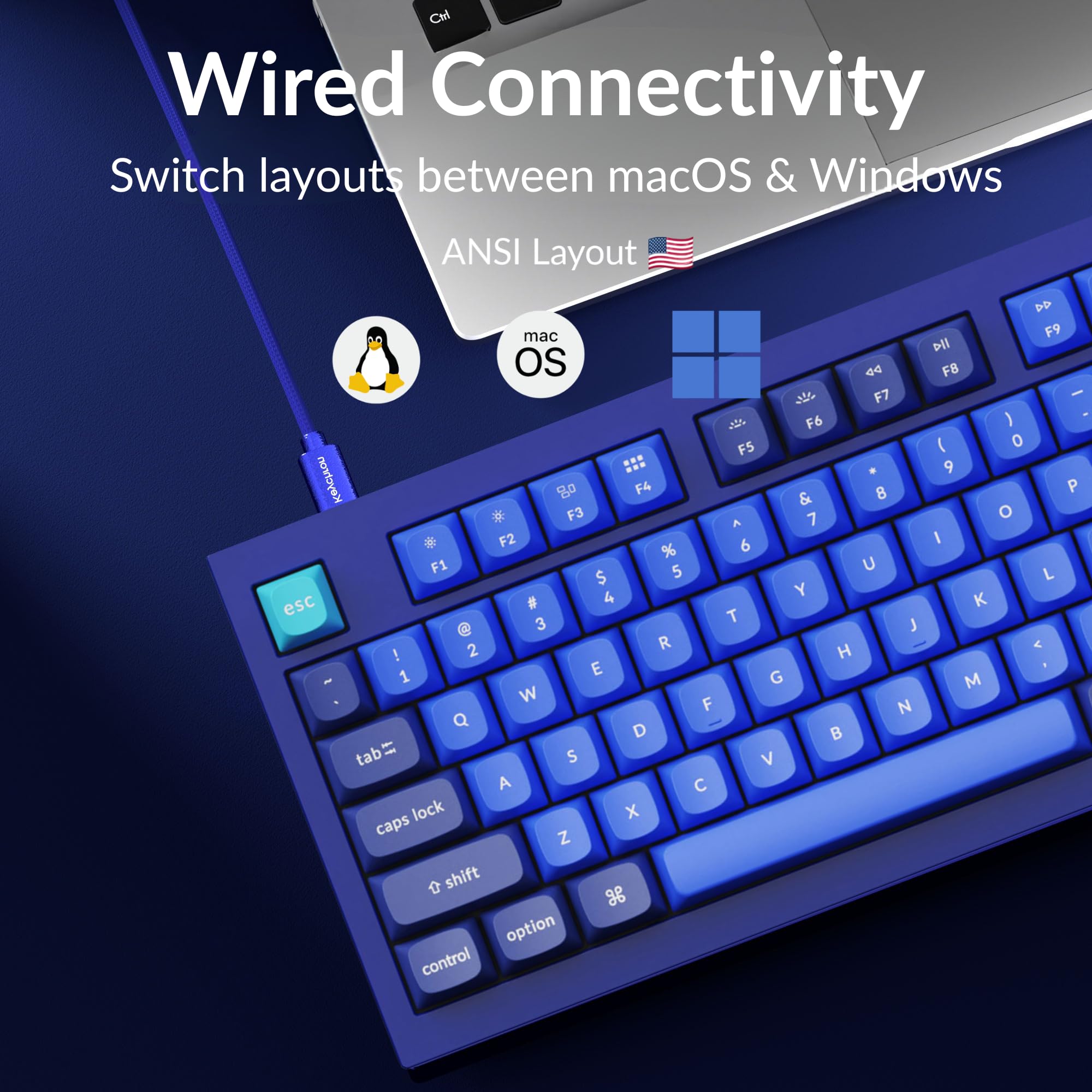 Keychron q1 ブルー　英語配列　静音化 Keychron Q1 QMK 75% Keyboard Version 2 – Divinikey