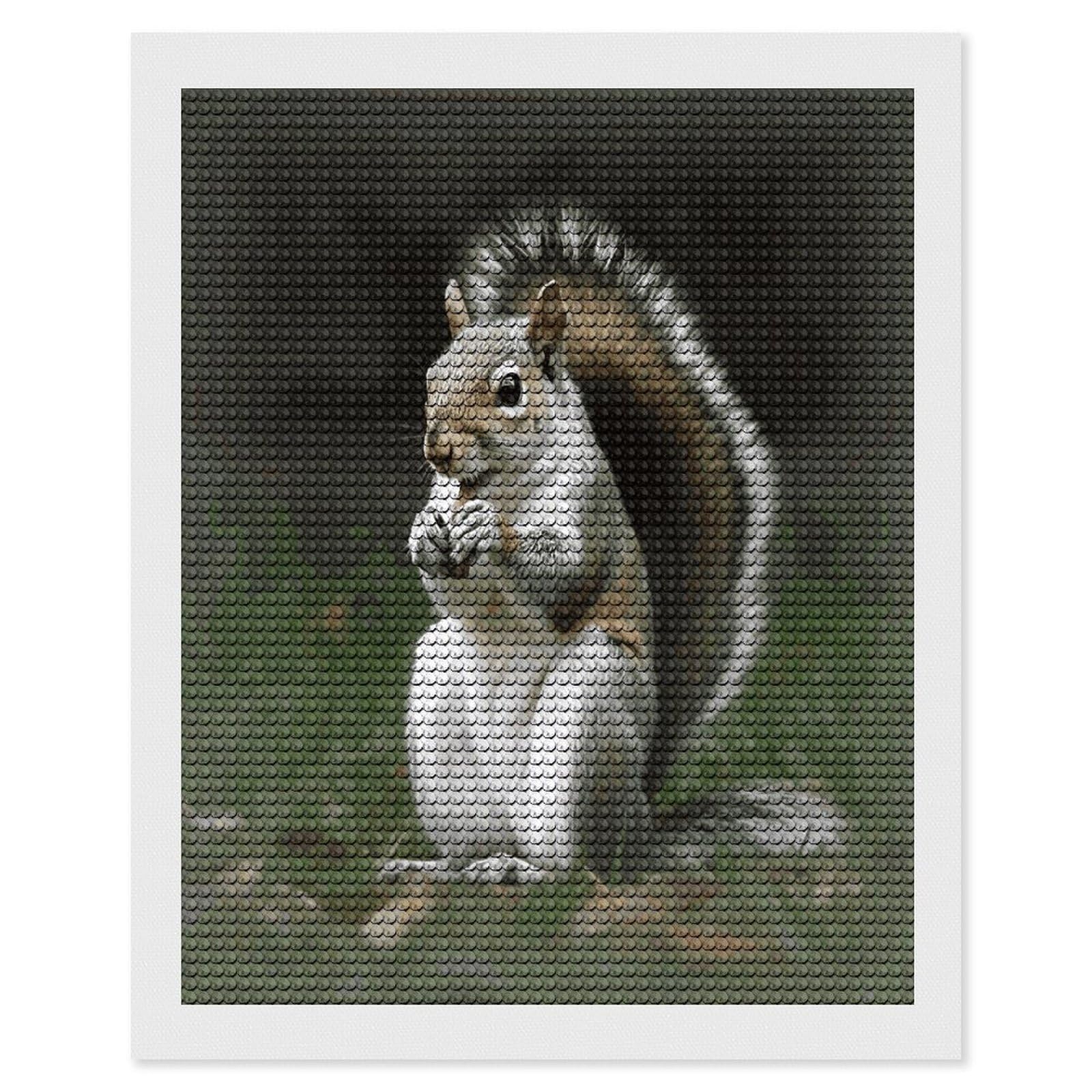 LDGSUPH Squirrel Diamond Painting Kits for Adults Paint with Diamond Pictures Art DIY Full Drill Diamond Dots Painting Personalized Diamond Photo for Home Wall Decor Gift 16"x20"