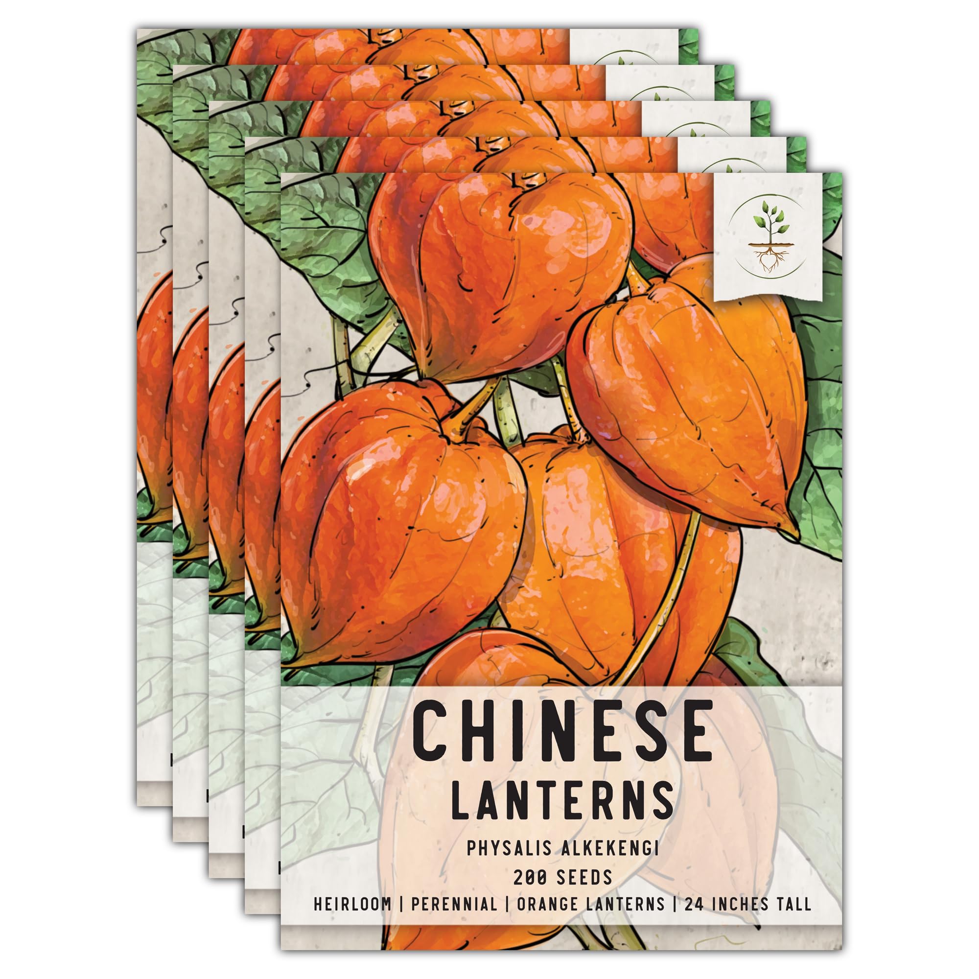 Seed Needs Chinese Lantern Seeds