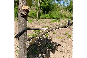 20-Pcs Tree Branch Spreader 7" Limb Spreader