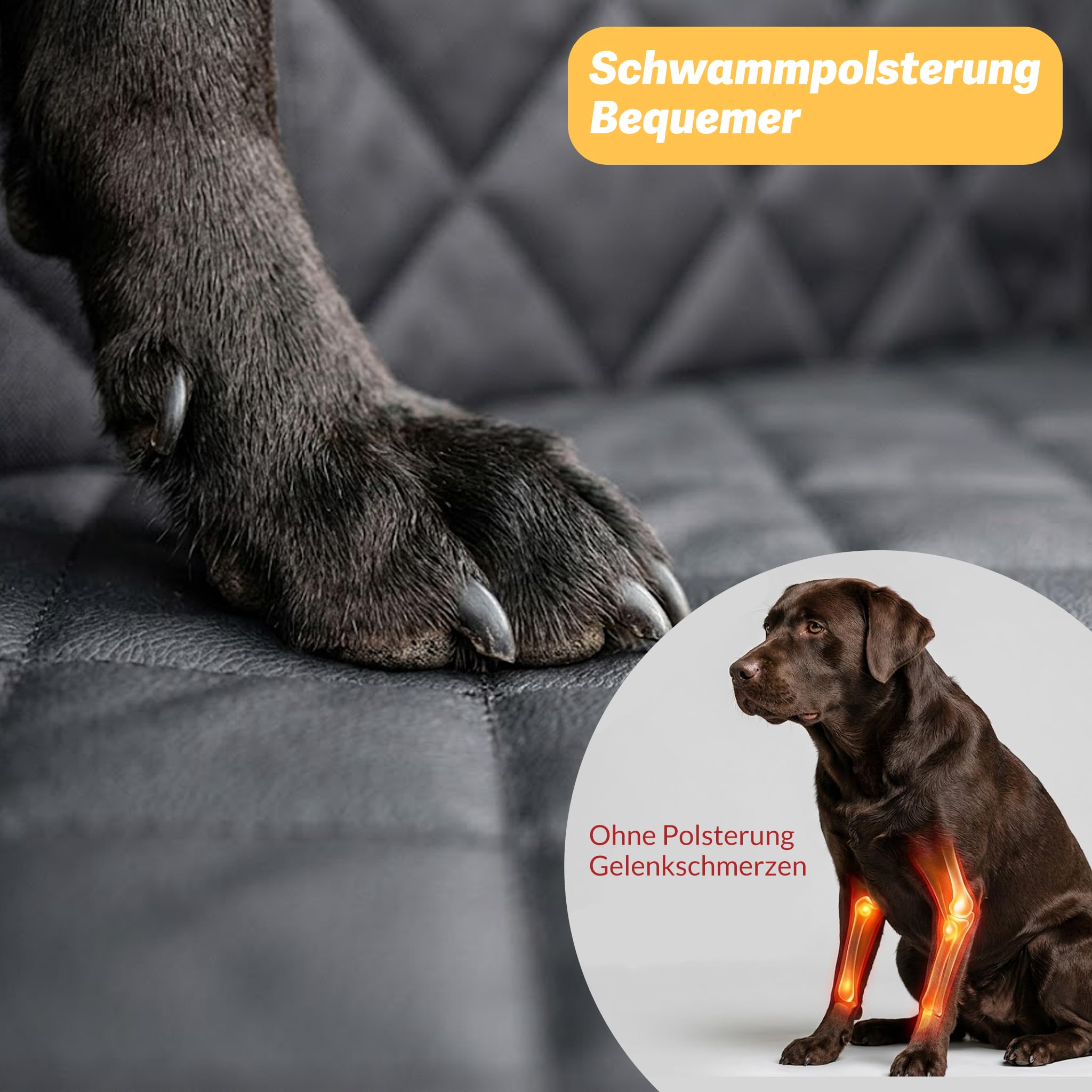 Dog Car Seat Back Seat for Small Medium Dogs Autositz für Hunde, Rückenlehne für kleine bis mittelgroße Hunde