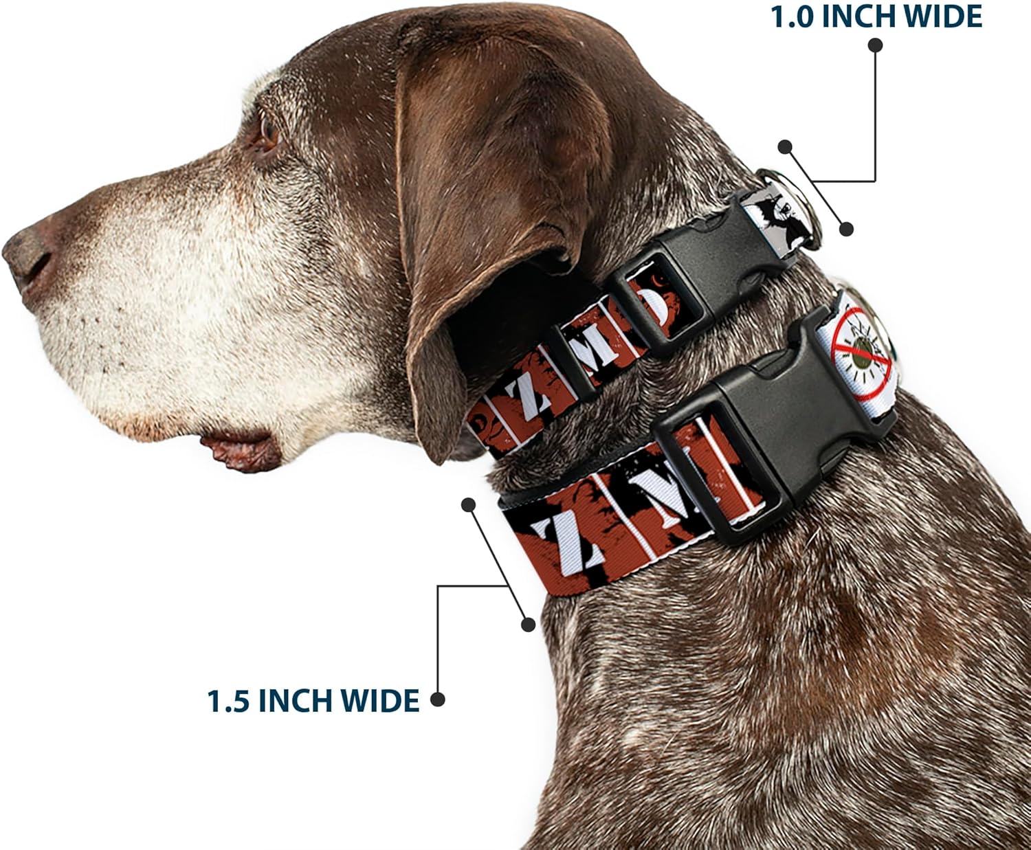 Buckle-Down Dog Collar Plastic Clip Gremlins Gizmo Poses Rules Blocks Red Greens Grays White 16 to 23 Inches 1.5 Inch Wide
