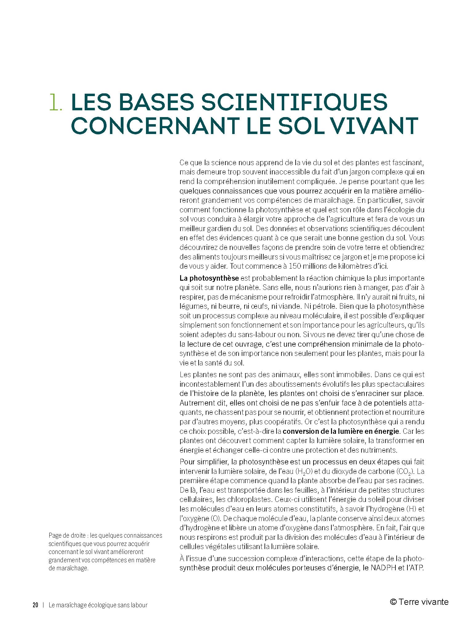 Le maraîchage écologique sans labour: Mieux produire grâce à un sol vivant
