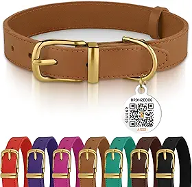 BRONZEDOG Coleira de couro para cães com etiqueta QR ID, coleiras básicas para cães pequenos e gatos (22 a 28 cm (pacote com 1), marrom claro e fivela dourada)