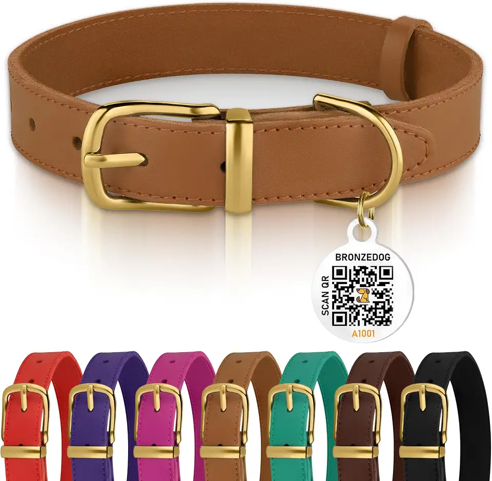 BRONZEDOG Coleira de couro para cães com etiqueta QR ID, coleiras básicas para cães pequenos e gatos (22 a 28 cm (pacote com 1), marrom claro e fivela dourada)