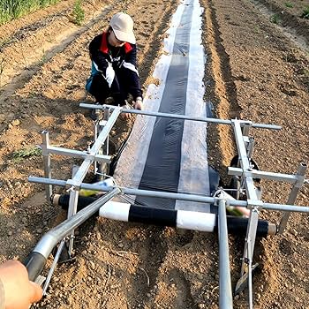 81PaS7OPl4L._AC_UF350,