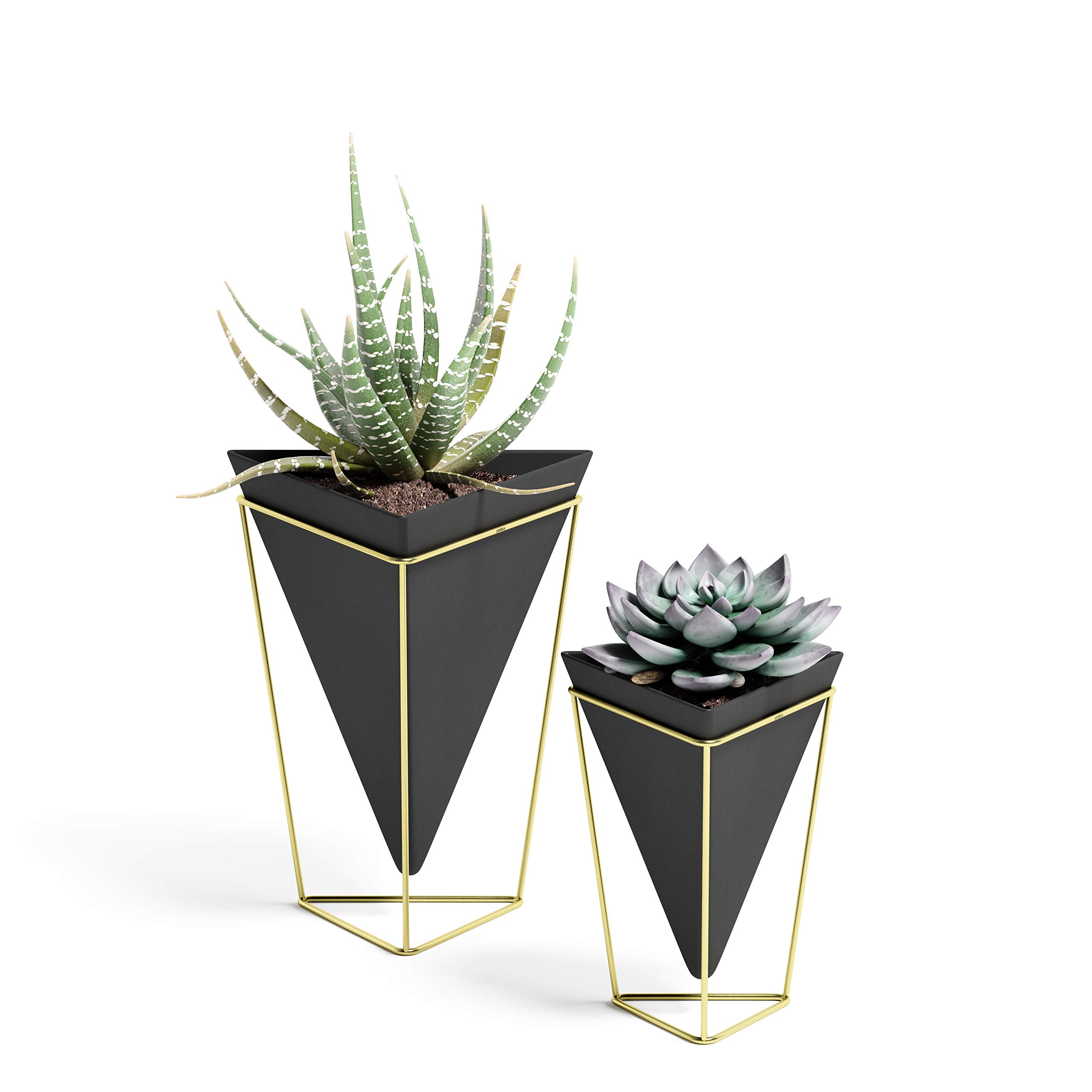 Trigg Jardinière Suspendue et Décoration Murale Géométrique Pour Petite