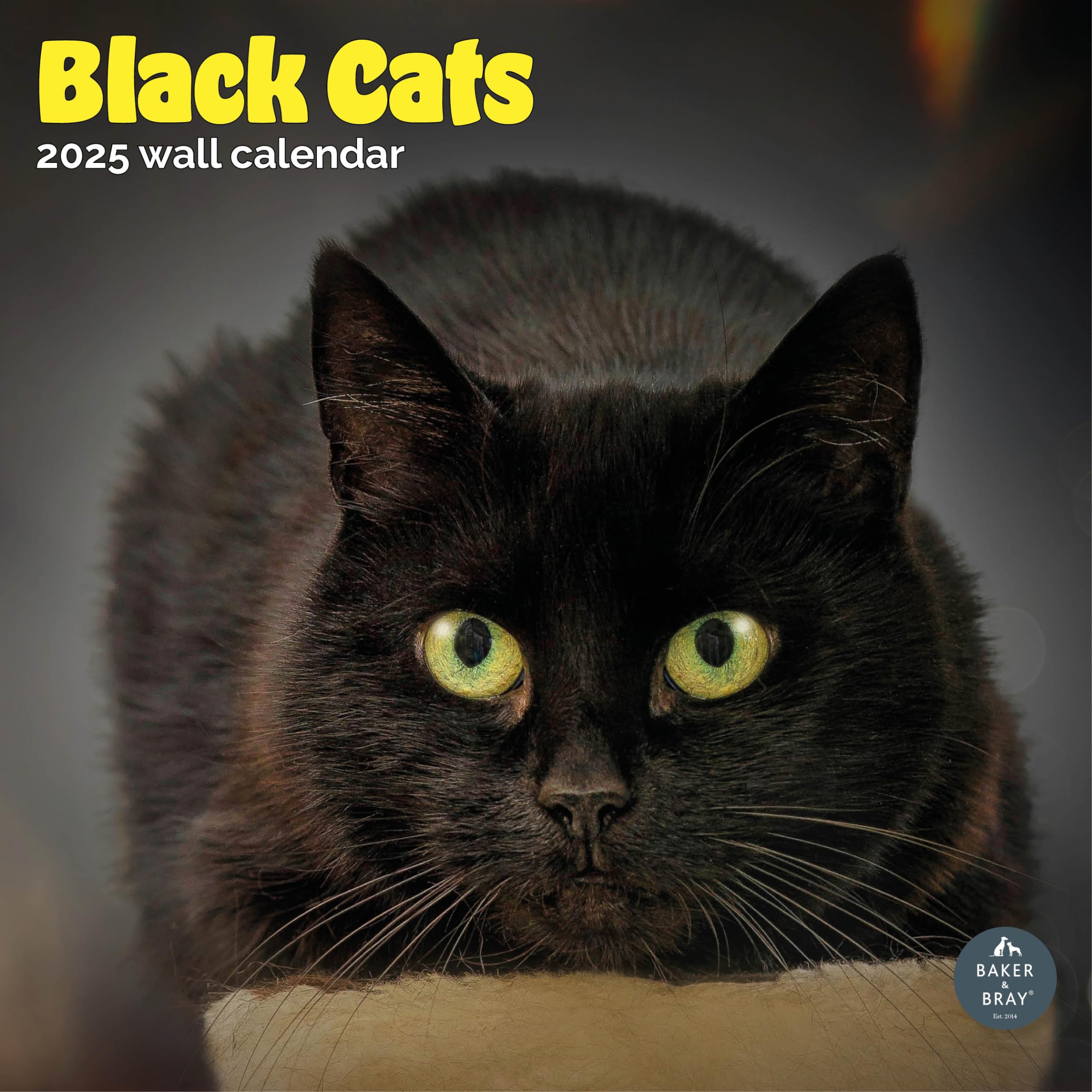 Baker and Bray Black Cats Calendar 2025, Large Square Wall Calendar, 16 Month, Black Cats Gift Cat Calendar.